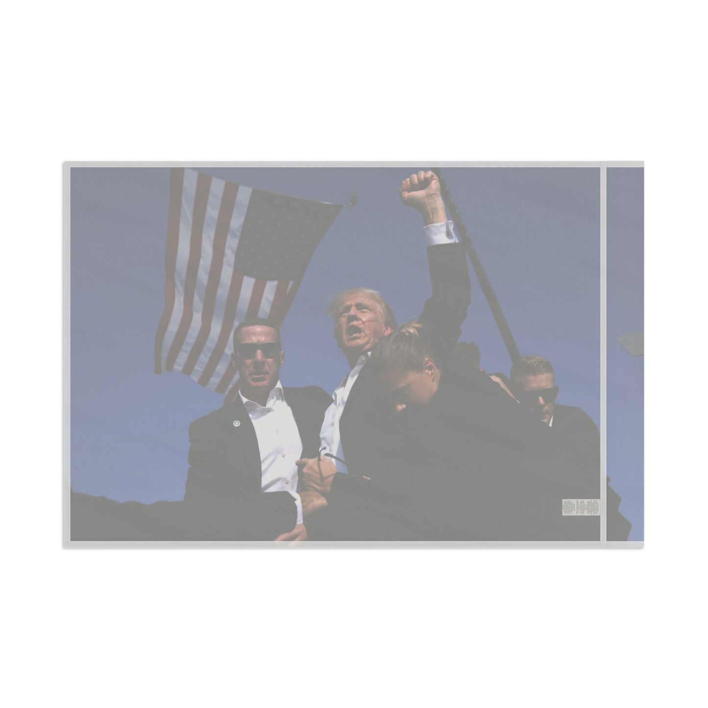TRUMP FLAG